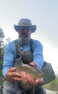 River Trout Fish Pennsylvania